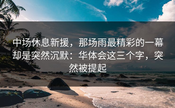 中场休息新援，那场雨最精彩的一幕却是突然沉默：华体会这三个字，突然被提起